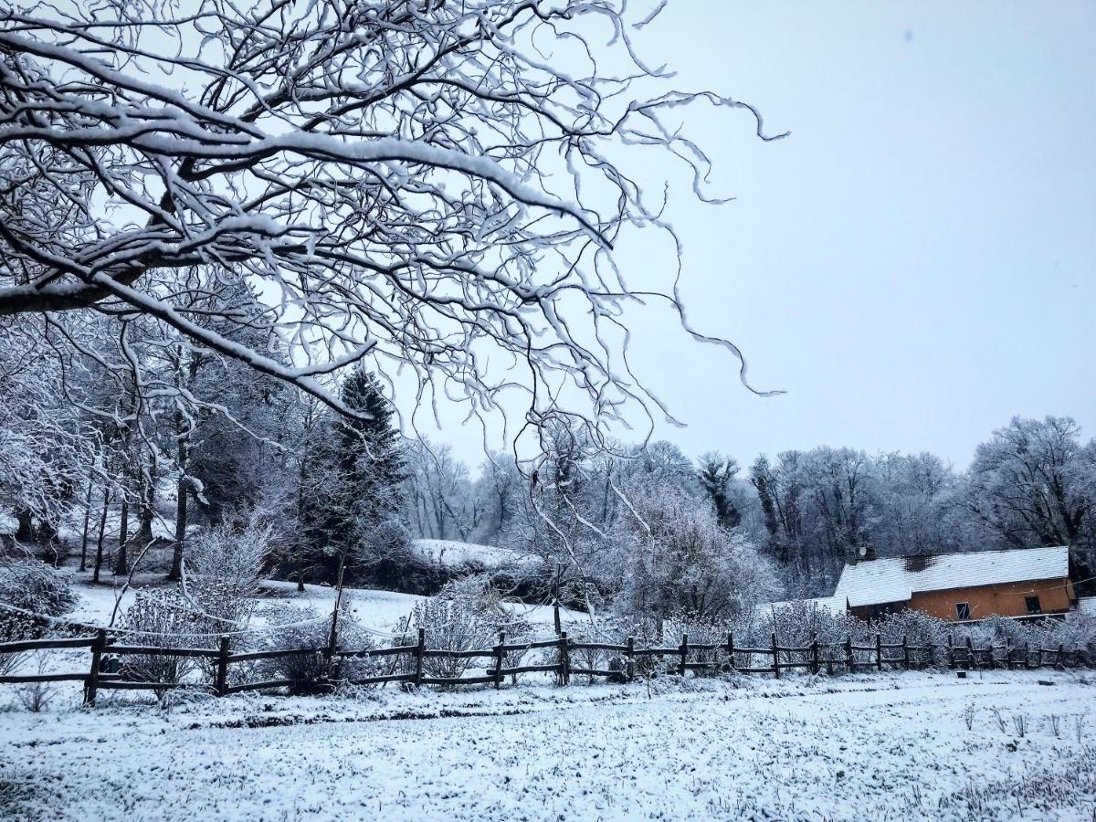 Le Mas De Planaise Saint-Jean-d'Avelanne Esterno foto