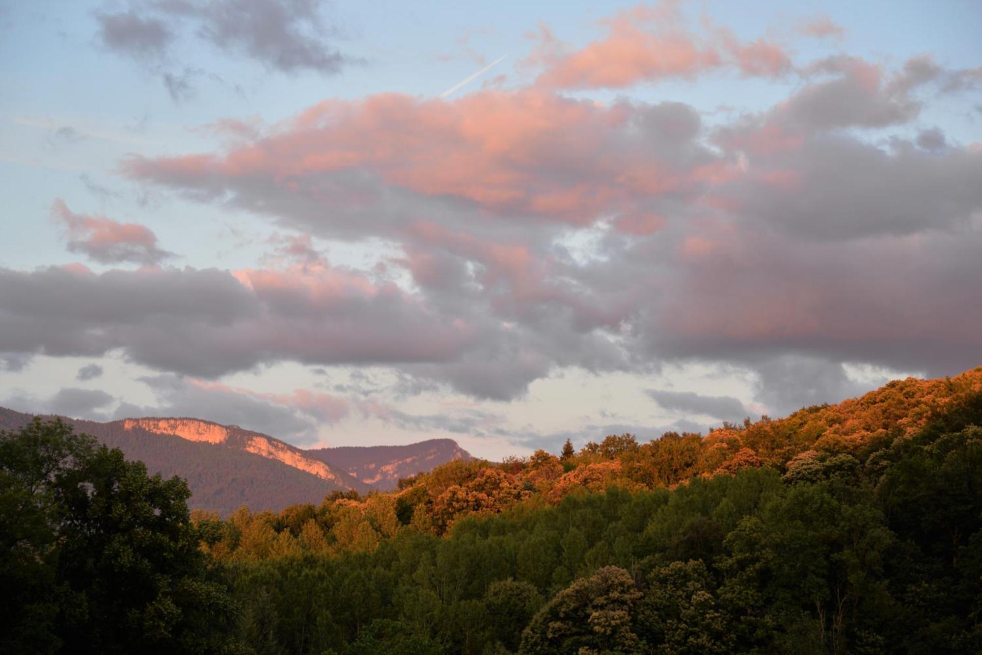 Le Mas De Planaise Saint-Jean-d'Avelanne Esterno foto